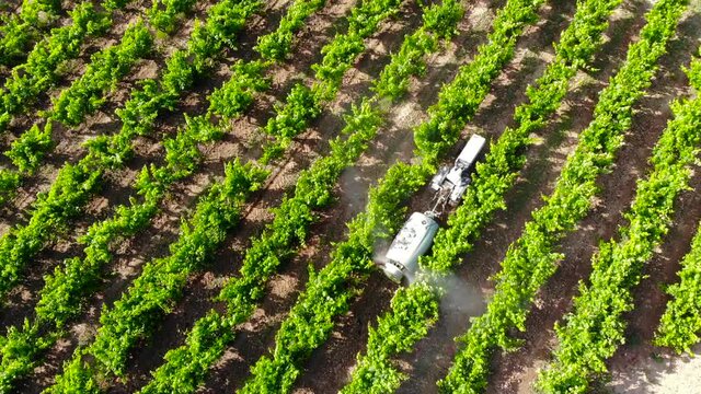 Aerial: litte tractor among grapevine and vineyards