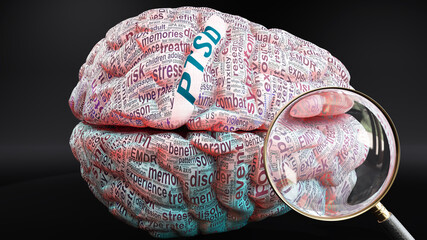 Fototapeta premium Ptsd in human brain, a concept showing hundreds of crucial words related to Ptsd projected onto a cortex to fully demonstrate broad extent of this condition, 3d illustration