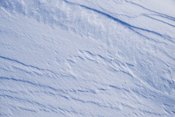 Texture of winter snow surface. Blue natural snow background.