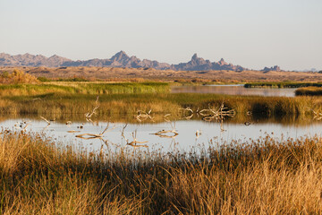 autumn day on the Colorado River