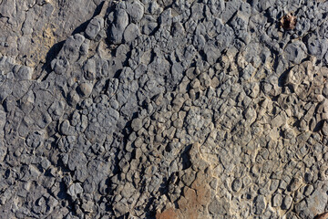 Autumn, the shallow stone-sandy bottom of a mountain river in the rays of the morning sun, close-up.