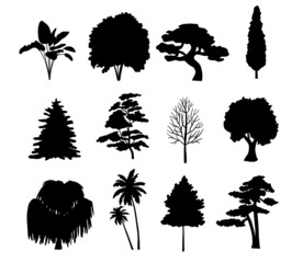 Set Tree silhouette isolated on white background. Vector Collection of coniferous trees, tropical, palm trees and bare wood
