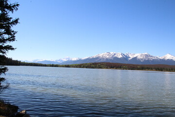Spring On Pyramid Lake, Jasper National Park, Alberta