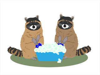 Hardworking Raccoons sit near a basin and wash on a white isolated background.