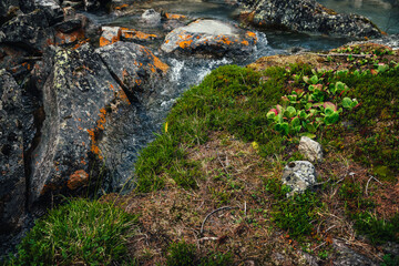 Scenic nature background of turquoise clear water stream among rocks with mosses, lichens and wild...