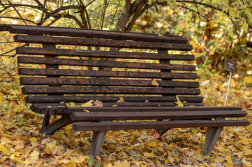 Russia, Moscow, Botanical Garden - Pharmaceutical Garden. Autumn. Bench view.