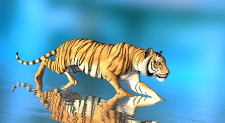 Fototapeta na wymiar Tiger in water on blue background 3d illustration