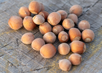 Hazelnuts on a wooden background.