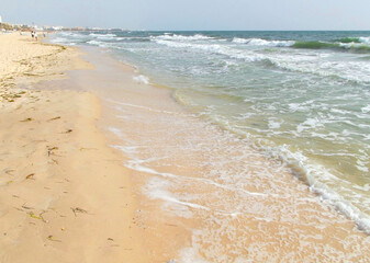 Sandy beach coast seascape. Unidentified people on background. Smooth foamy waves crash on seashore with seaweed. Coastline view with blue sky and sea skyline on horizon. Travel, rest, relax concept.