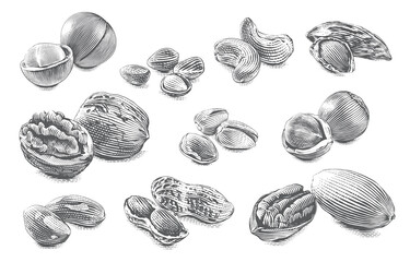 nut set collection Hand drawing sketch engraving illustration style