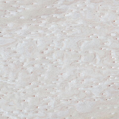 wood veneer texture in Light Warm tone