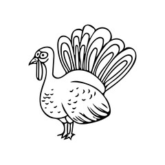 Turkey hand drawn doodle vector. Thanksgiving. icon, bird, animal, farm. isolated on a white background, card, invitation.