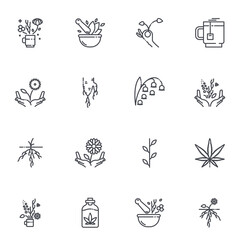 Herbal medicine conceptual signs. Plants and flowers.
