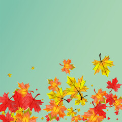 Fototapeta na wymiar Red Floral Background Green Vector. Foliage October Design. Yellow November Plant. Flying Leaves Illustration.