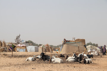 Refugee camp (IDP - Internal displaced persons) taking refuge from armed conflict between...