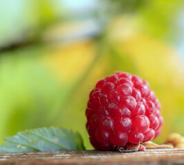 Raspberries. Close-up. Top view. Blurred background.