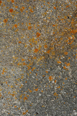 Colorful stone surface. Abstract nature background for design. Graphic element