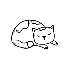Hand drawn sleep cute cat. Doodle sketch style. Concept of relax time animal pet. Isolated vector illustration.