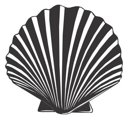 Large black and white seashell