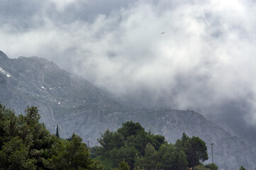 Panorama góry we mgle polana górska z drzewami