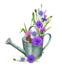 watering can with a bouquet of wild flowers illustration on an isolated white background