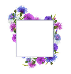 flower frame with cornflowers illustration on a white background for the design of postcards and invitations
