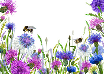 flower background with cornflowers and bees illustration on a white background.digital painting