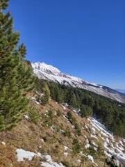landscape in winter