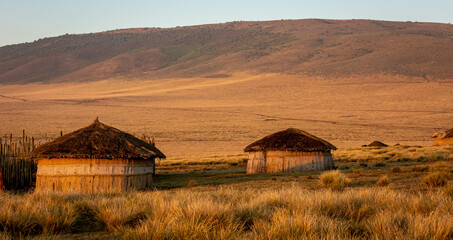 Masai Boma / Houses in Ngorongoro National Park reserve - land of Masai - obrazy, fototapety, plakaty