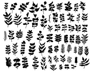 a set of plant icons. vector set of isolated elements made of branches with leaves, hand-drawn in the style of doodles. leaves, different shapes, black outline of leaves on a white background for a de