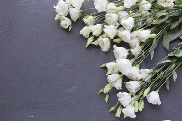 White beautiful flowers close-up