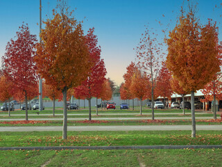 autumn in the city, red foliage of trees in the parking lot of the shopping center