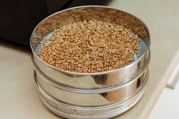 Mashing of milled malt grains for preparing malt. Process of brewing grain of barley.