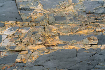 Shiny colorful wet rock  on a low tide