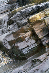 Shiny colorful wet rock  on a low tide