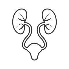 Urology linear icon.