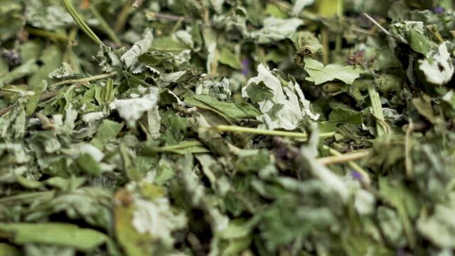 Natural Green Tea, Macro, Dry Healthy Herbs, Isolated, Rotation. Background of Green Tea, Dried Herbs.