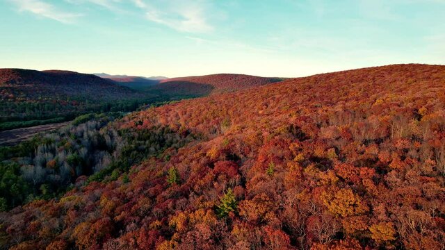 Aerial drone video footage of the beautiful appalachian mountains during peak foliage in new york's hudson valley during golden hour. This is the catskill mountains sub-range