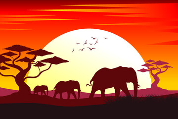 Elephant silhouette. Silhouette of sunset in safari landscape