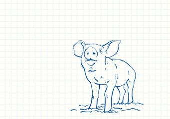 Pig, Blue pen sketch on square grid notebook page, Hand drawn vector linear illustration