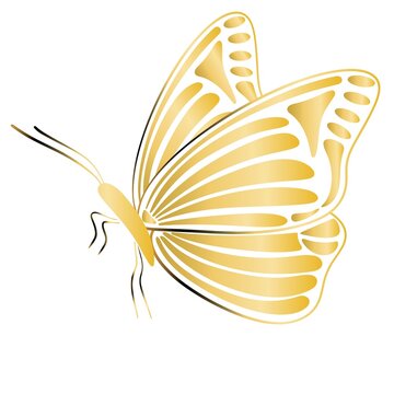 Gold butterfly in profile isolated illustration. Beautiful insect with golden wings, vector. Graceful retro butterfly, decoration.