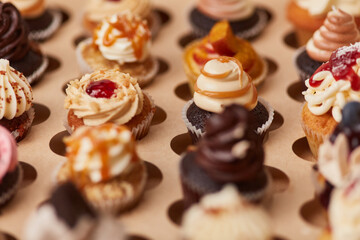 Lots of colorful cupcakes as a choice and variety concept