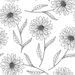 Seamless floral pattern with peonies, camomile or daisy. Hand drawn black paint illustration with abstract floral motif.