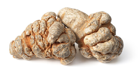 Dried herb, notoginseng roots isolated on white background