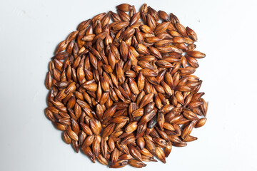 granos de cebada © zaira