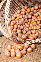 Hazelnuts in a wicker basket close-up