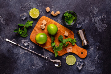 Fresh tasty ingrediens for delicious mojito cocktail