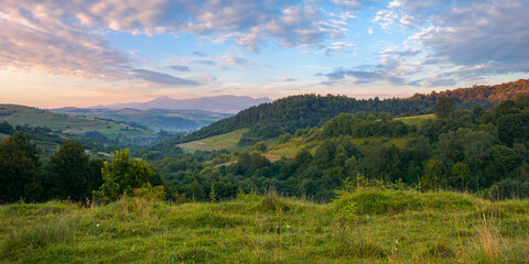 mountainous countryside landscape at dawn. pastures and rural fields near the forest on the hills. beautiful early autumn nature scenery with clouds on the sky in morning light