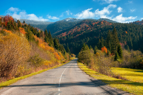 countryside road in mountains. beautiful autumn landscape on a bright sunny morning. trees in colorful foliage along the way. fluffy clouds on the sky above the distant peak. travel back country