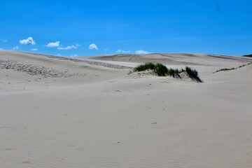 denmark, Wanderd&uuml;ne, rabjerg mile